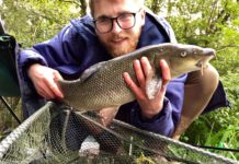 Sean Ford takes on the task of keeping Eliburn clear of weeds and debris