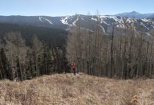 Fly-fishing: The gateway to adventure