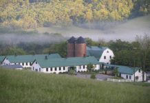 5 tips for making the most of a day trip to Hot Springs, Virginia