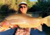 Rexburg guide catches record breaking Yellowstone cutty on Snake River – Buckrail