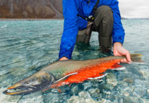 Anglers to Trump: You’re fired! | Hatch Magazine