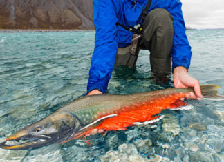 Anglers to Trump: You’re fired! | Hatch Magazine