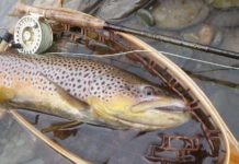 Classic Pro Tips: 10 Tips for Fall Streamer Fishing