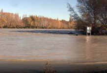 Floods and Their Impact on Trout Fishing and Trout Food