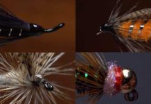 Video: Glossy vs. Penetrating Finishes