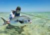 Photo and Story: Sticking to the Game Plan for Permit on Grand Bahama