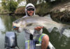 Good-to-great fishing on the Napa River