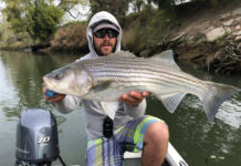 Good-to-great fishing on the Napa River