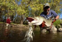 Podcast: Musky Time, with Kip Veith