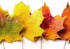 Head for the Hills: Mountain leaves will be ablaze with reds, oranges and yellows in late October