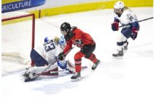 Fly-fishing a welcome reprieve for off-season Olympians