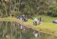 Inland Fisheries report shows fisheries where anglers scored big | The Advocate