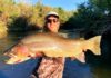 Man Catches Record Yellowstone Cutthroat Trout Out of Snake River