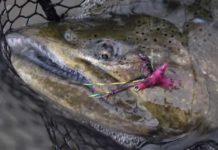 Video: How to Tie the Douglas Salmon Camp Swinger
