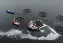 Loch stock and salmon