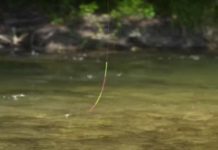 Video: How to Fish Nymphs with a Sighter