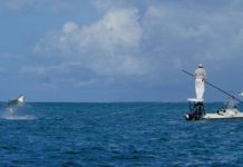 ‘Lords of the Fly’ Review: Long Live the Silver King!