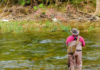 Trout stocking resumes in Virginia; Roanoke River in Salem receives fish