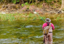 Trout stocking resumes in Virginia; Roanoke River in Salem receives fish