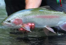 Video: Shadows of Silver in the NZ Backcountry