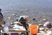 City, Botanic Park partner to help mountain whitefish spawn in Fish Creek