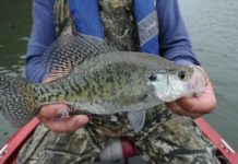Top anglers offer share fall fishint tactics