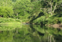 A fishing tale from another time