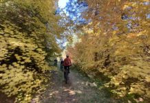 Conditions report trails near Sisters | Explore Central Oregon