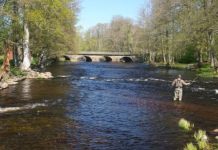 Kevin Merrill: Fly fishing and a vineyard slowdown | Columnists