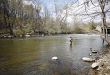 Gene Chague | Berkshire Woods and Waters: Pandemic roars back, raising havoc with outdoor sportsmen |