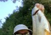 Mount Pleasant angler catches elusive carp while fly fishing with ‘Mopey Opie’ | Fishing