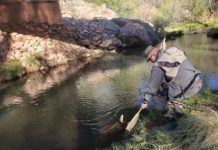 Fly-fishing: Don’t call it a bobber | Local News
