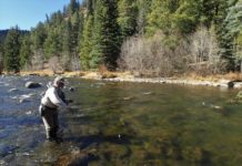 OUTDOORS: A river that has it all | Outdoors