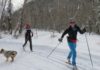People looking to get out this winter expected to increase backcountry skiing | Outdoors