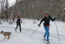 People looking to get out this winter expected to increase backcountry skiing | Outdoors