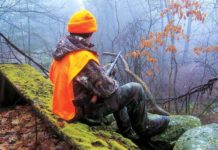 Gene Chague | Berkshire Woods and Waters: Shotgun deer hunting season begins in Berkshires; Saying goodbye to Jacques the Beagle | Sports