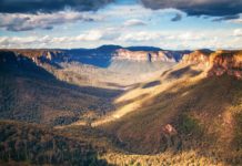A Weekend Guide To Fly Fishing The Coxs River