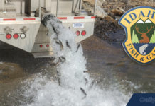 Over 5,100 Rainbow Trout Stocked In Elk Creek Reservoir and Dworshak Last Week – Dailyfly.com Lewis-Clark Valley Community