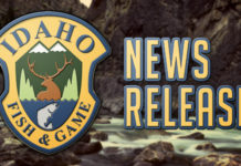 High Trout Numbers Continue In the South Fork Snake River – Dailyfly.com Lewis-Clark Valley Community