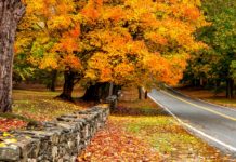 The Design Lover’s Guide to the Loveliest Northeast Road Trips