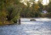 Anglers fish for salmon in the Saranac in an unlikely spot: Plattsburgh