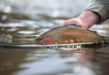 How to beat Season Angling Depression