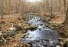 Flooding and Blocked Streams Endanger VA Trout