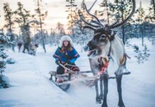 Journey to Swedish Lapland (virtually) through these photos
