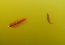 Video: How and Why to Fish Balanced Flies in Still Water