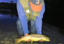 Trout are on the rise again in the Battenkill, a river prized by anglers