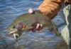 Tom Rosenbauer on How to Fish Streamers for Trout