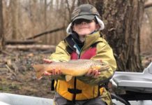 Pro Tips: Slap That Cougar