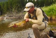 Video: How to Match Your Tactics to a Specific Trout