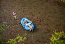 Wednesday Wake-Up Call 11.18.20: Big Conservation News